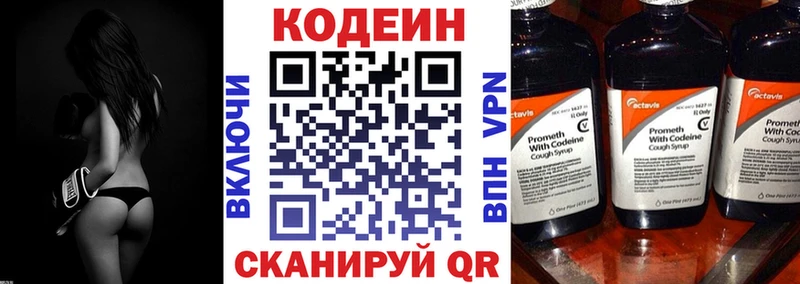 Купить где  Салаир  Кодеин Purple Drank 