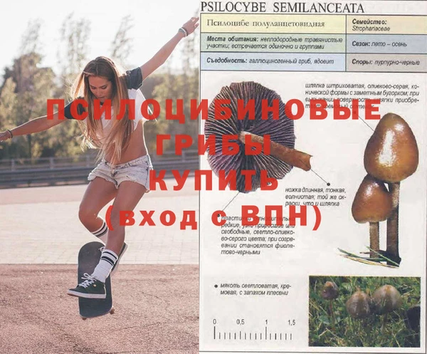 гашишное масло Горняк