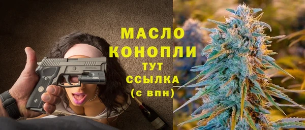 гидра Горно-Алтайск