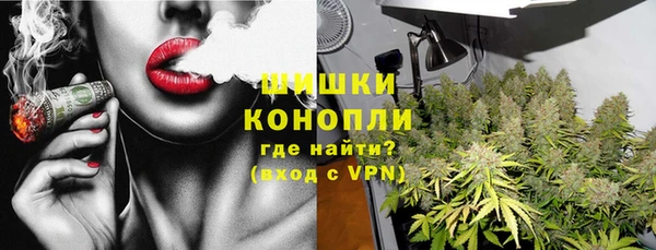 гидра Горно-Алтайск