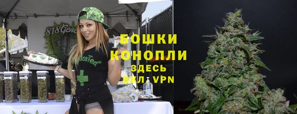 гидра Горно-Алтайск
