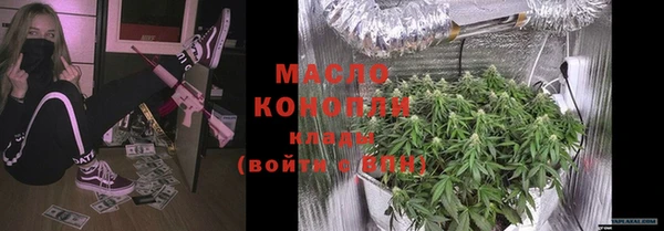 гидра Горно-Алтайск