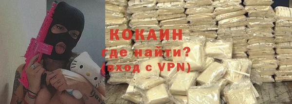 гидра Горно-Алтайск