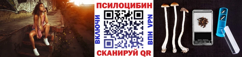 Галлюциногенные грибы Cubensis  Купить где  Салаир 